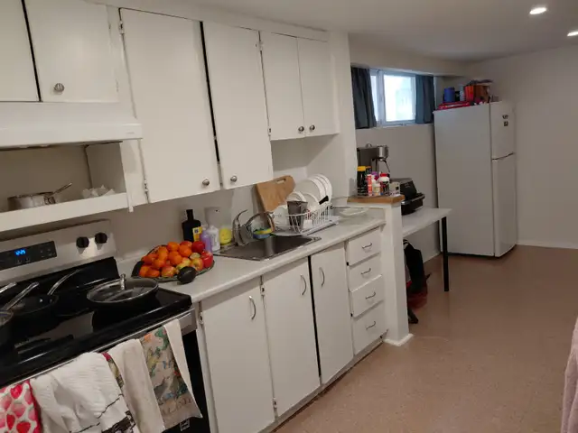 Danforth-Pape 1 bedroom cozy basement apartment $1200 - Photo 4