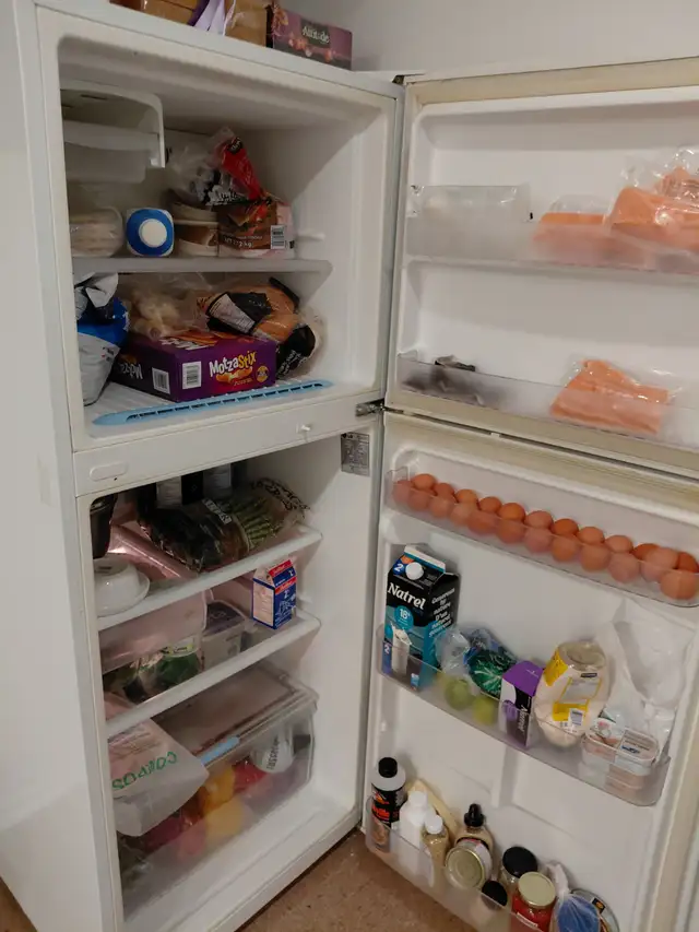 Danforth-Pape 1 bedroom cozy basement apartment $1200 - Photo 9