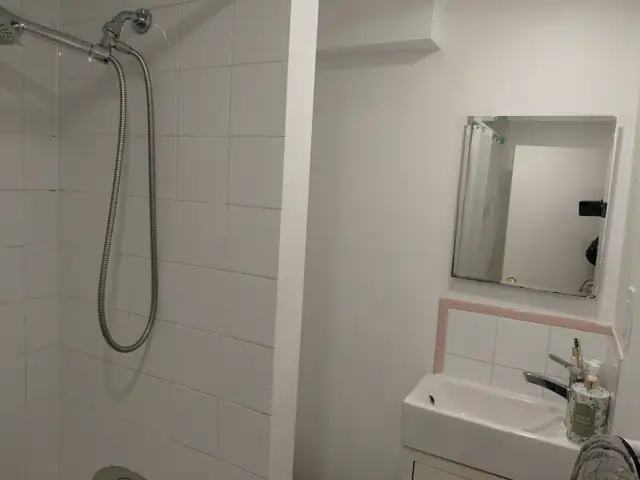 Danforth-Pape 1 bedroom cozy basement apartment $1200 - Photo 10