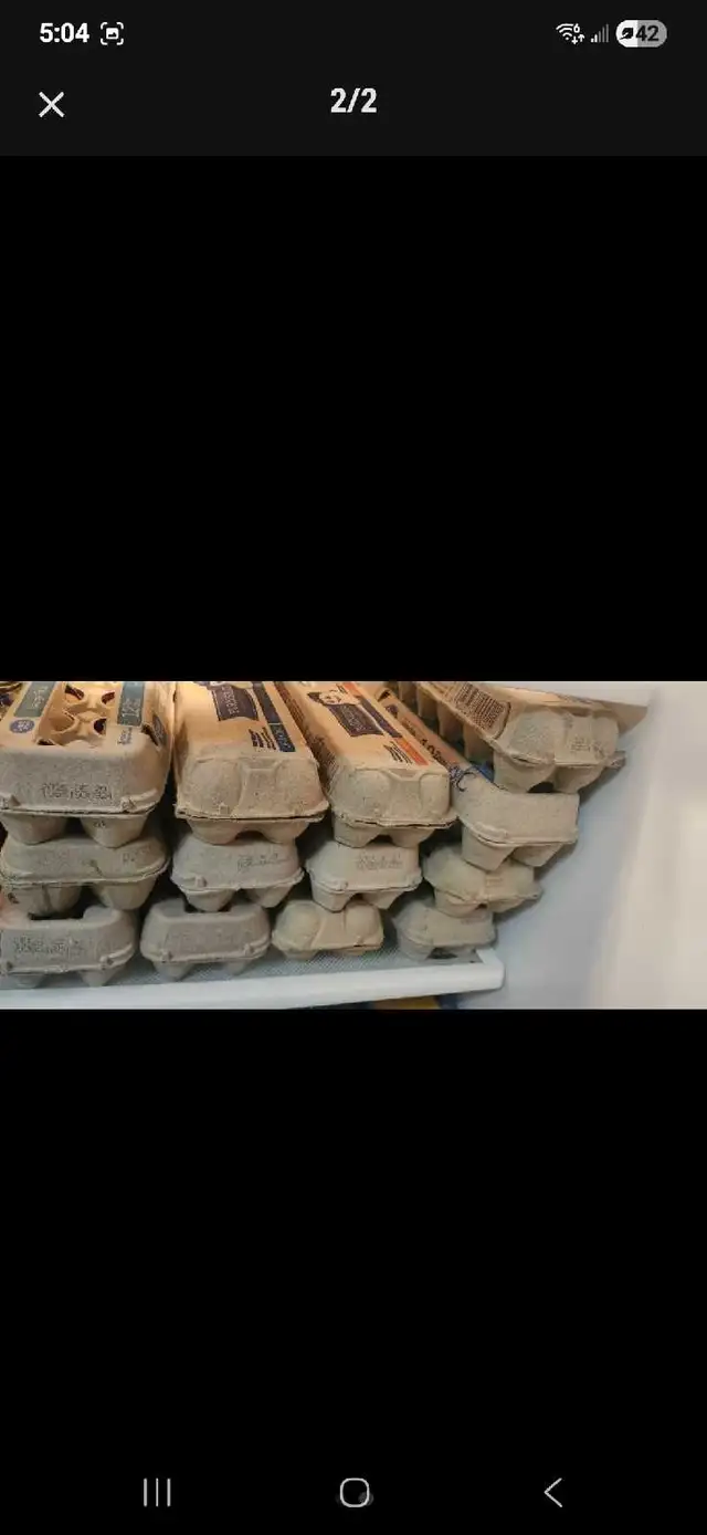 Free range eggs $5 - Photo 2