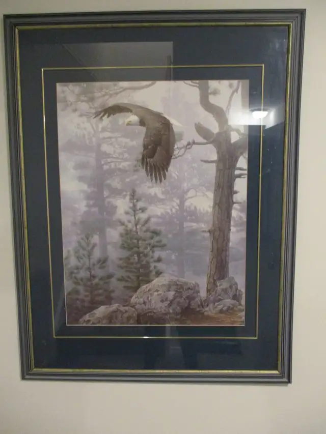 Mahogany Chest of Drawers - Excellent ! Moving Sale! - Photo 7