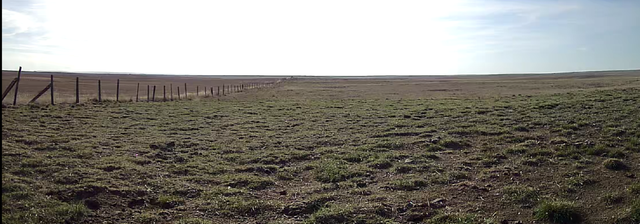 Pasture for Lease S.E. of Skiff AB