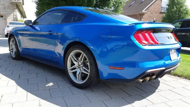 2019 Mustang GT ExtremelyLow KMs - Photo 4