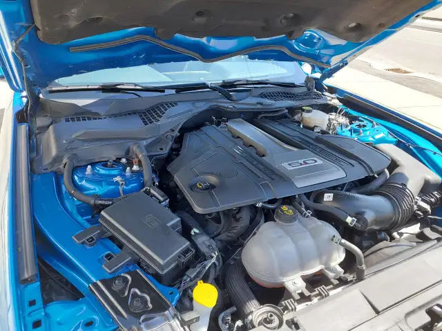 2019 Mustang GT ExtremelyLow KMs - Photo 9