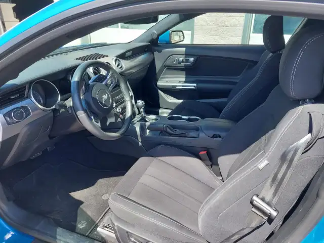 2019 Mustang GT ExtremelyLow KMs - Photo 10