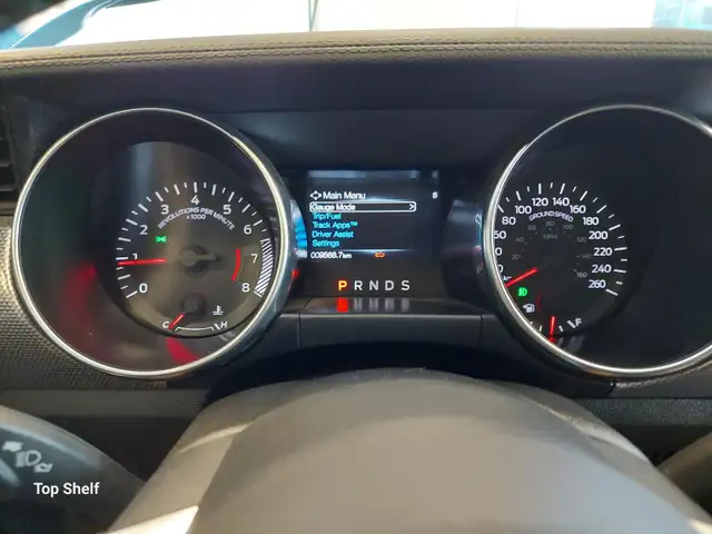 2019 Mustang GT ExtremelyLow KMs - Photo 13