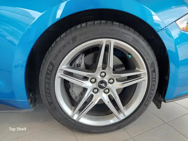 2019 Mustang GT ExtremelyLow KMs - Photo 14