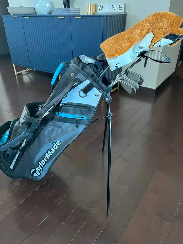 TaylorMade Rory Jr golf set