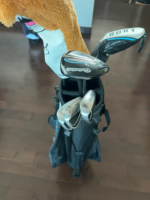 TaylorMade Rory Jr golf set - Photo 3