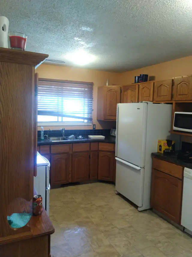 ROOM RENTAL AVAILABLE MAY 5 IN FULLY FURNISHED HOUSE - Photo 3