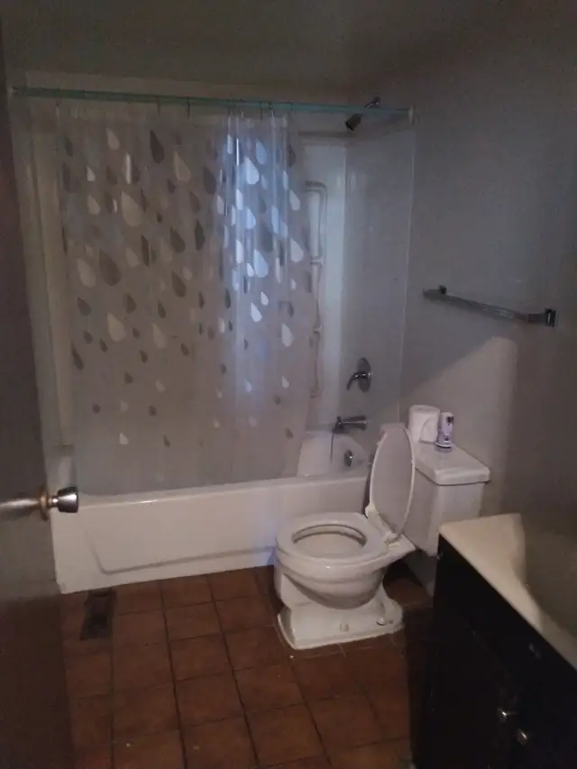 ROOM RENTAL AVAILABLE MAY 5 IN FULLY FURNISHED HOUSE - Photo 5