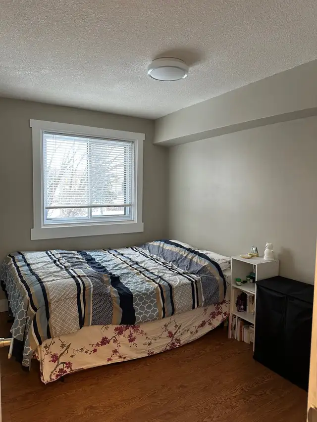 TWO BEDROOM APARTMENT ON MERIVALE ROAD OTTAWA WITH PARKING - Photo 3