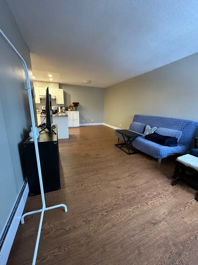 TWO BEDROOM APARTMENT ON MERIVALE ROAD OTTAWA WITH PARKING - Photo 6