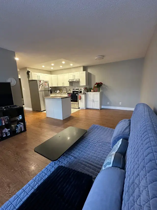 TWO BEDROOM APARTMENT ON MERIVALE ROAD OTTAWA WITH PARKING - Photo 7