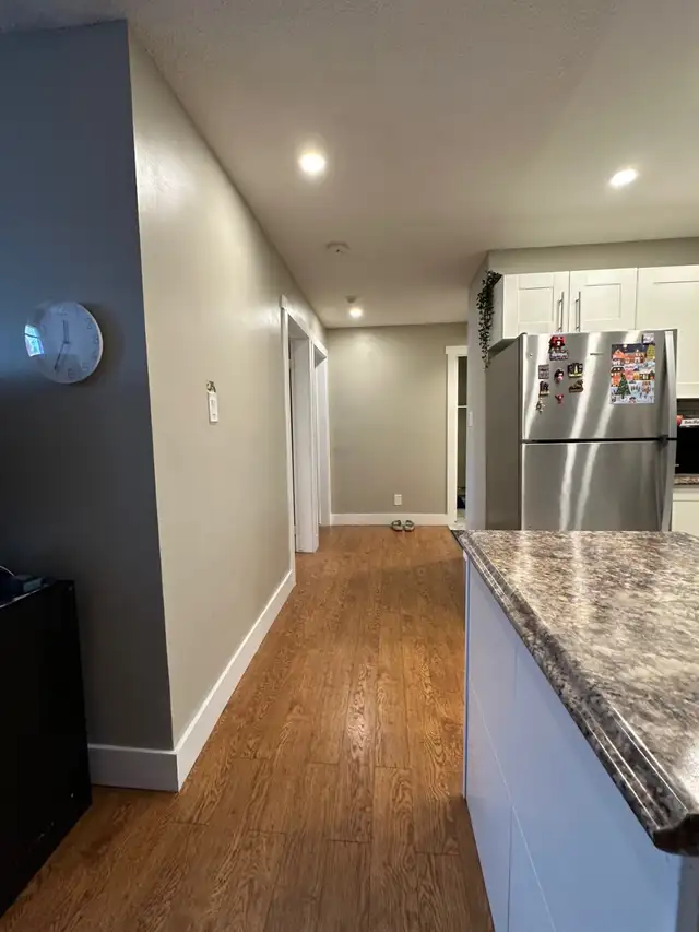 TWO BEDROOM APARTMENT ON MERIVALE ROAD OTTAWA WITH PARKING - Photo 9