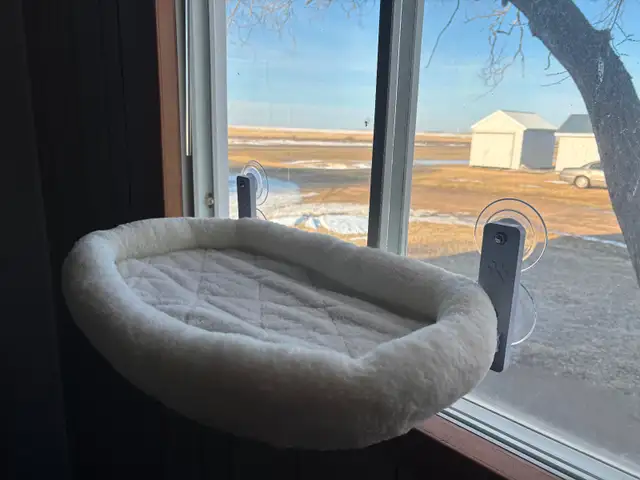 Cat Window Hammock - Photo 4