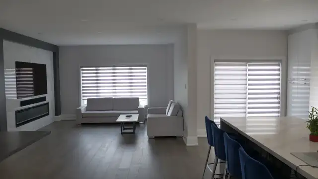 Zebra Blinds, Roller, Motorized, 50% OFF Call 416-4143443 - Photo 8