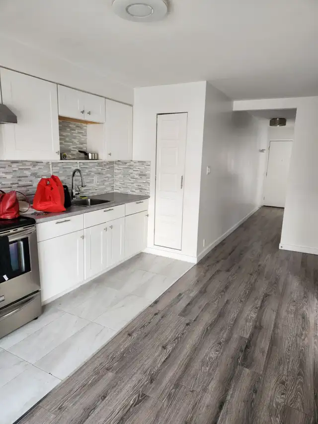 4 1/2 disponible immédiatement, près du métro Cadillac - Photo 2