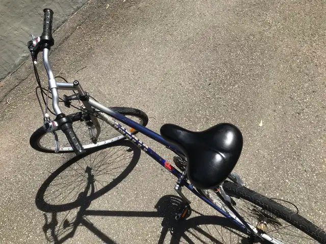 Vélo Minelli Chromoly Y2K – Collection 2000 "Promenade" - Photo 3