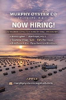 Oyster Farm/Plant Workers