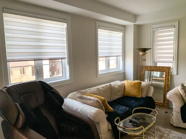 Zebra Blinds, Roller, Motorized, 50% OFF Call 416-4143443 - Photo 3