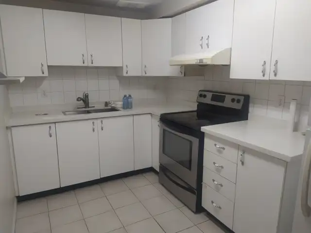 1 Bedroom basement w separate entrance from May 1st in Brampton