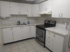 1 Bedroom basement w separate entrance from May 1st in Brampton