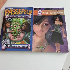 2LIVRES NEUFS ADO DE BOOMERANG:VOTRE PASSEPEUR MISS WOOP$5.00CHA