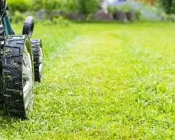 Free Estimates - Photo 8