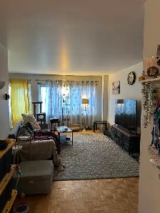 Cession de bail pour 3 1/2 spacieux / Lease transfer