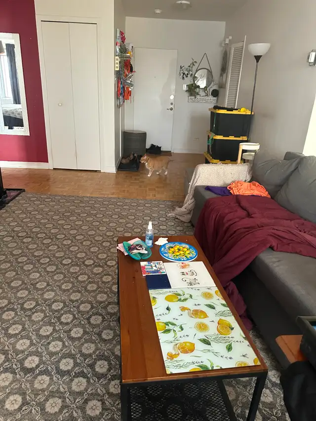 Cession de bail pour 3 1/2 spacieux / Lease transfer - Photo 2