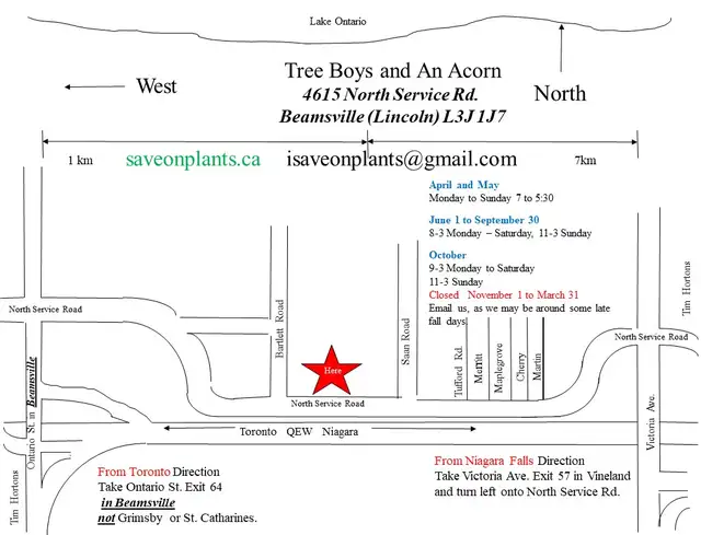 Buy Plants and Mulch Direct! - Photo 3