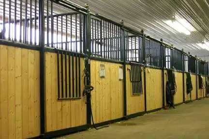 Horse farm 10 min south of Calgary hiring full-time experien - Photo 3