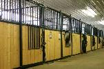 Horse farm 10 min south of Calgary hiring full-time experien - Photo 3