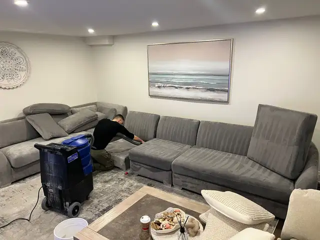 Carpet, couch, sofa and mattresses cleaning - Photo 8