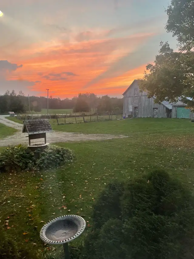 ROOM AVAILABLE ON HORSE HOBBY FARM - Photo 2