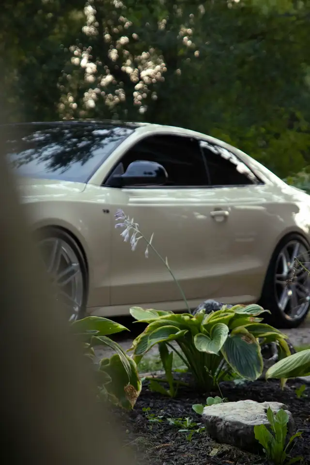 2009 Audi S5 v8 6 speed manual - Photo 5