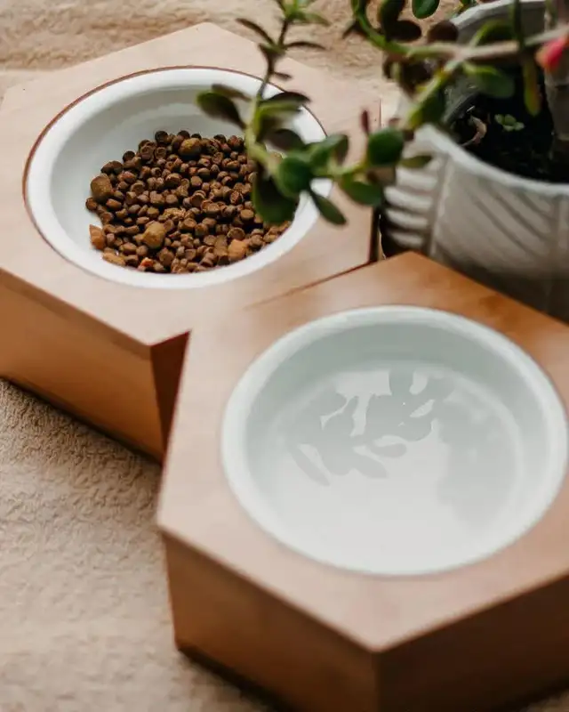 Bols à nourriture pour Chiens ou Chats - Photo 2