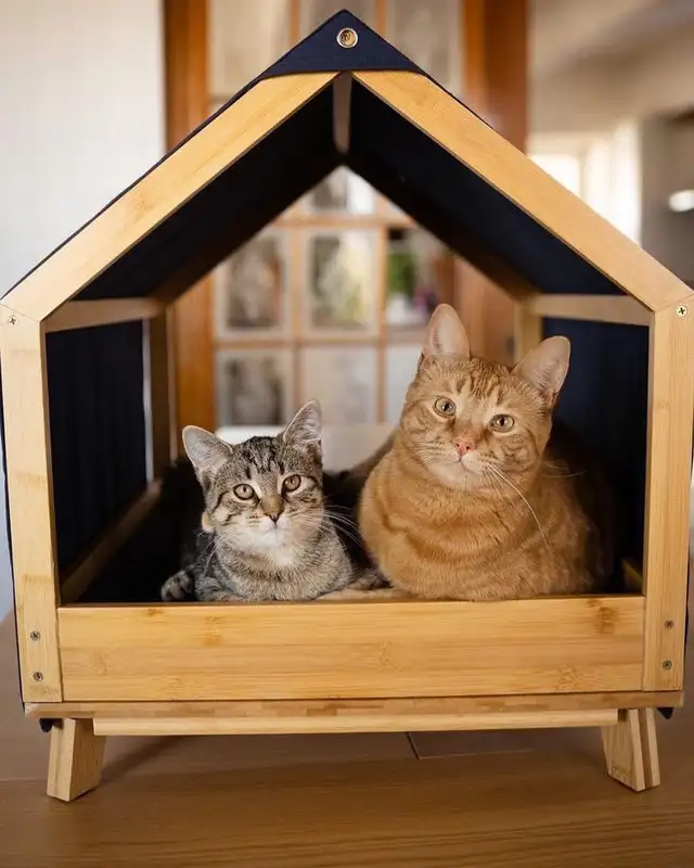 Maison pour Animal de Compagnie - Photo 3