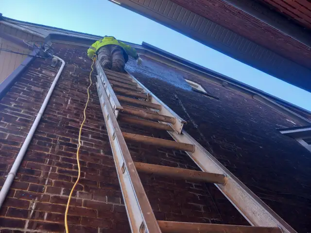 Masonry & Repairs - Photo 3