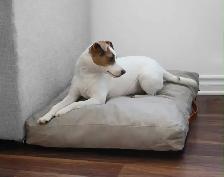 Coussin pour Votre Animal de Compagnie Préféré