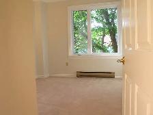 Spacious Quiet 2 bedroom Condo, Halifax South End, Oxford St. - Photo 8
