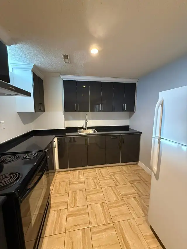 Spacious Basement Fully Renovated for Rent Available Immediately - Photo 11