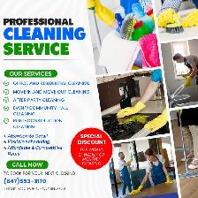 PROFESSIONAL CLEANING SERVICES