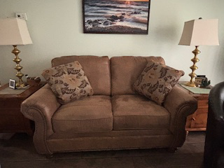 AWESOME LIKE NEW LOVE SEAT  - See Photo