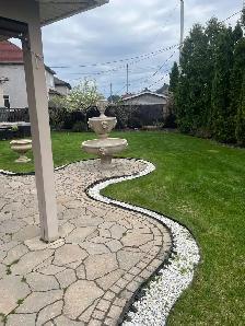 coupe de gazon // lawn mowing