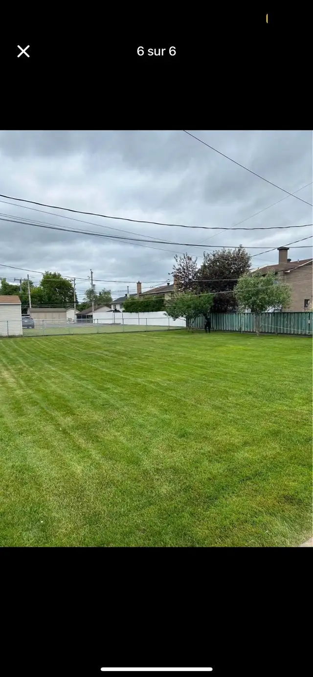 coupe de gazon // lawn mowing - Photo 2