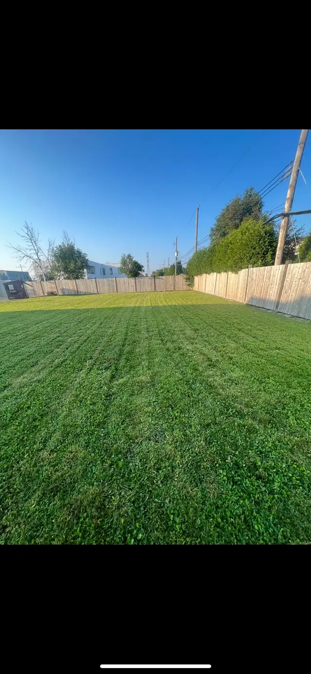 coupe de gazon // lawn mowing - Photo 3