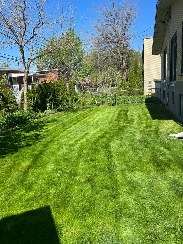 coupe de gazon // lawn mowing - Photo 4