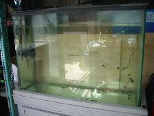 MOVING SALE 50 GALLON FRESH WATER SET UP $230